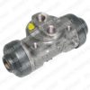 DELPHI LW61149 Wheel Brake Cylinder